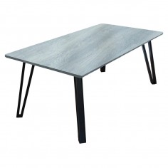 91001 MESA CENTRO 100X60 T/GRIS P/NEGRAS